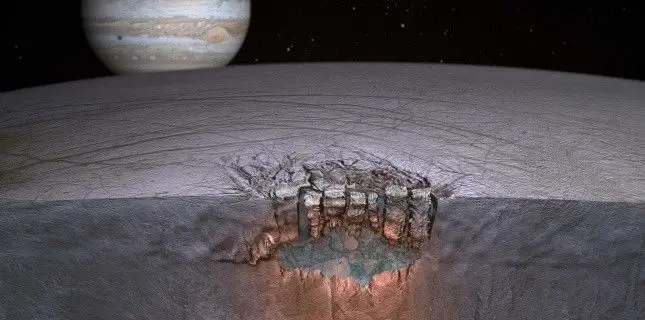 2694778.jpg
