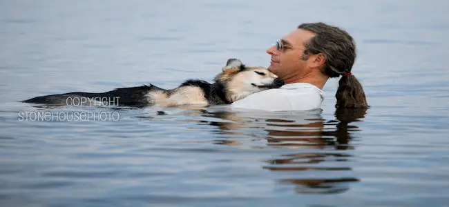 husky_bain.jpg