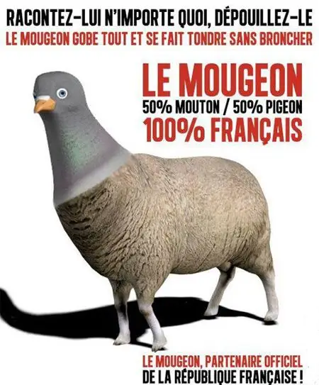 mougeon.jpg