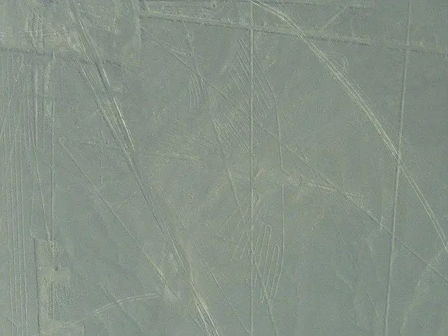 1407158997638_wps_6_Nasca_Condor_2007_08_JPG_.jpg