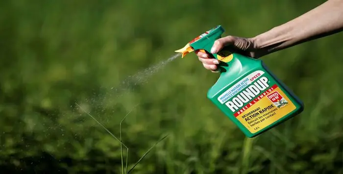 Glyphosate allemagne 04 09 2019