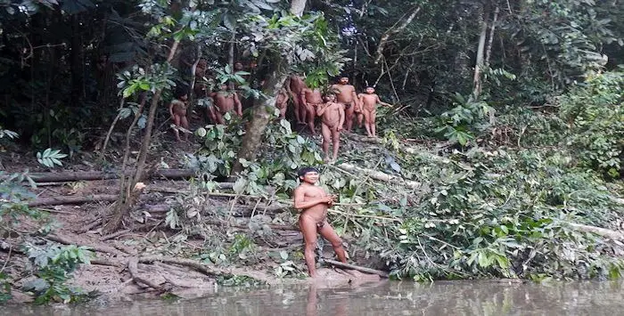 Amazonie 10 09 2019