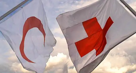 RCRC-flags1.jpg