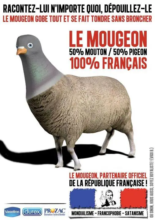 le_mougeon.jpg