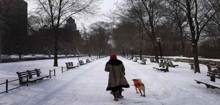 neige_usa.jpg