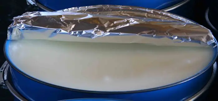 Vaseline_05_04_2015.jpg