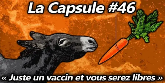 Capsule 46