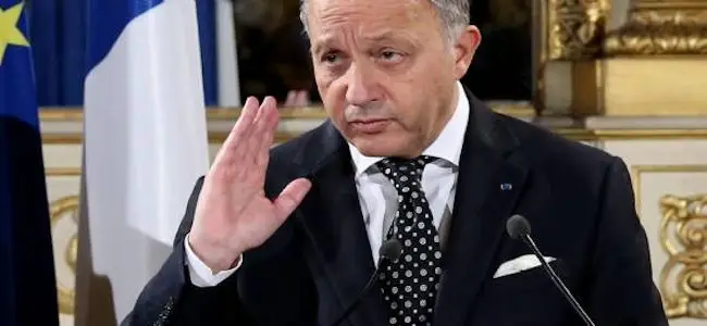 Fabius_mali_04_11_2013.jpg