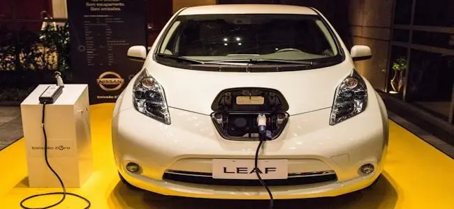 leaf.jpg
