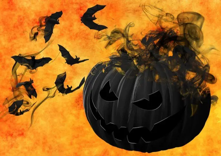 pumpkin 988231 1920 768x543