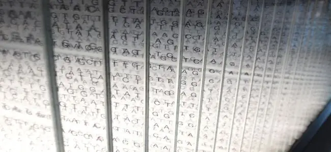 genome.jpg
