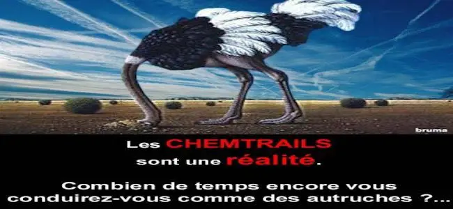 Chemtrails_conference_03_04_2013.jpg