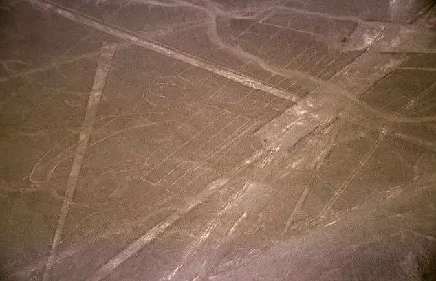 1407159052835_wps_7_Nazca_lineas_pelicano_c01.jpg