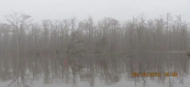 Sinkhole_louisiane_15_02_2013.jpg