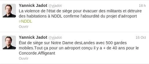 nddl_jadot_twitter.jpg