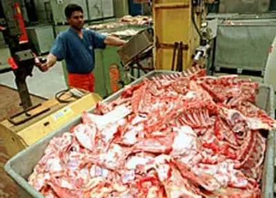 farine_animale.jpg