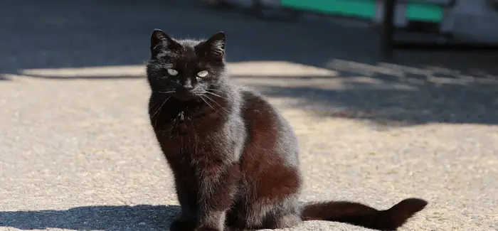 Titoune 30 04 2018
