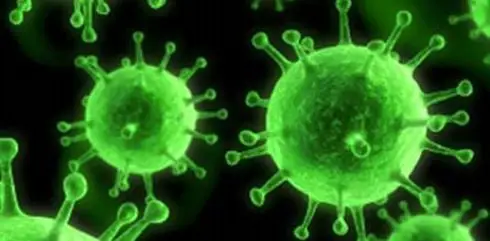 virus.jpg