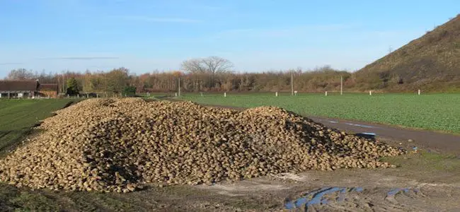 60_tonnes_betterraves_volee_13_02_2013.jpg