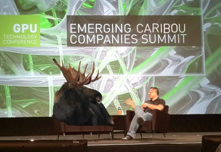 Caribou-Huang.jpg