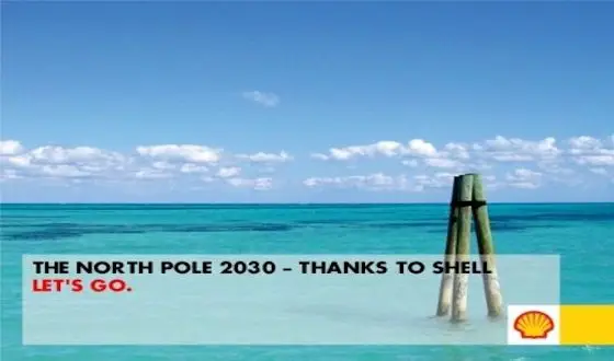 shell2.jpg