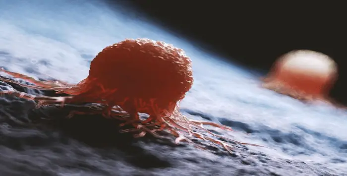 Cancer graisse 23 01 2019