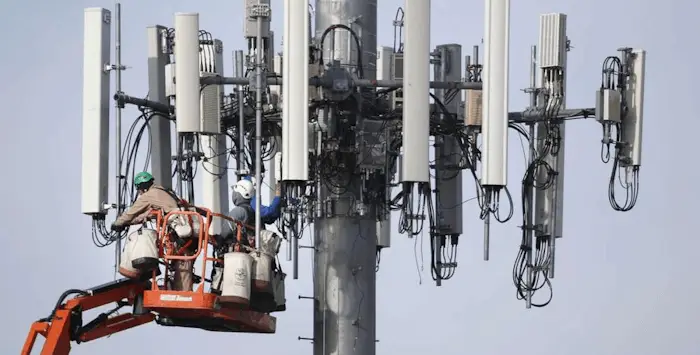 antenne 5g morts animaux