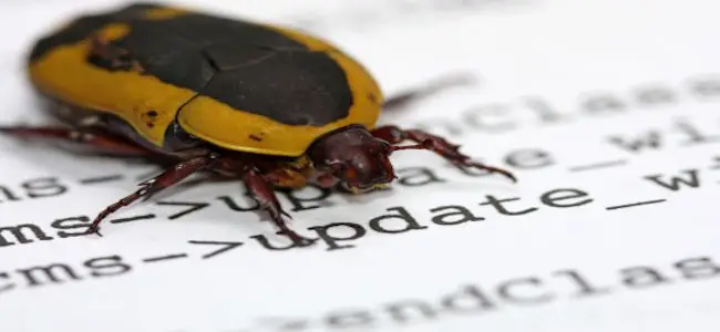 Bug.jpg
