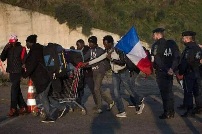 immigration grand remplacement