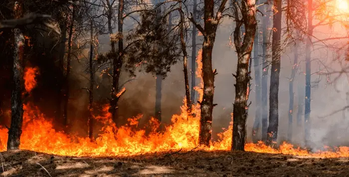 incendies france 16 08 2022