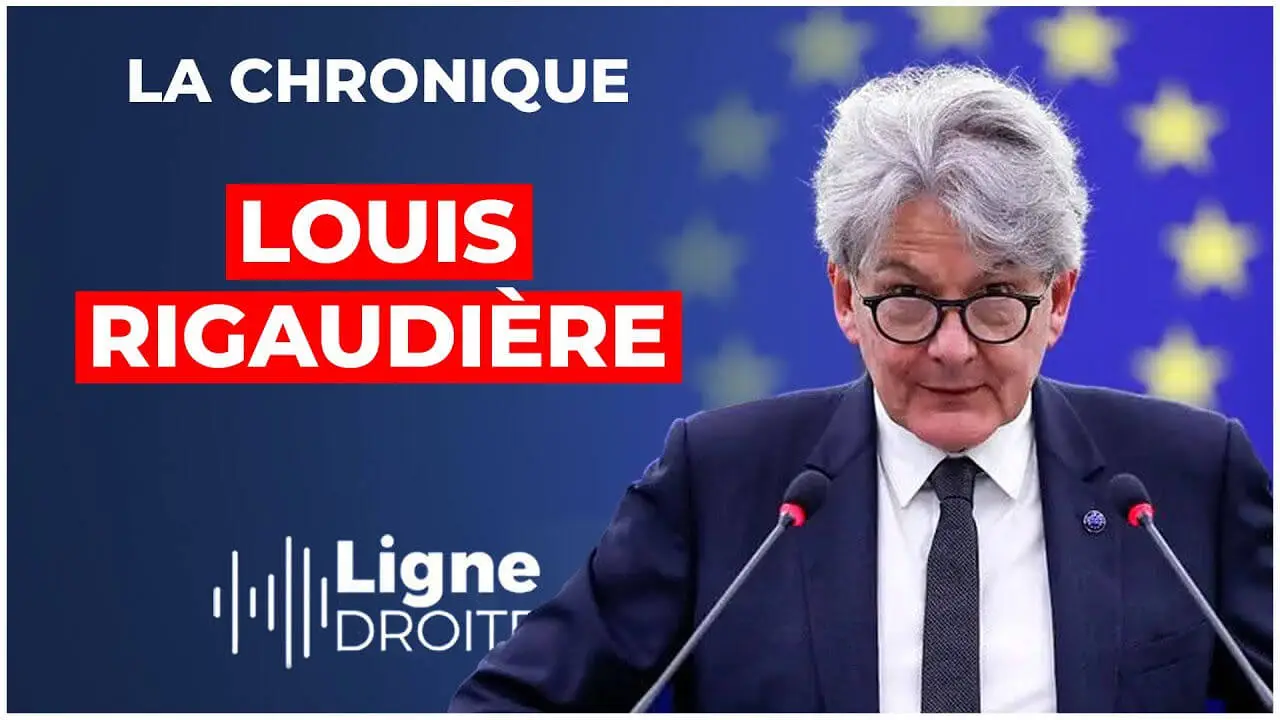 Digital Services Act : la tyrannie numérique a commencé ! - Louis Rigaudière (Ligne Droite)