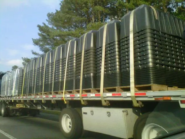 f263e65e8d.jpg