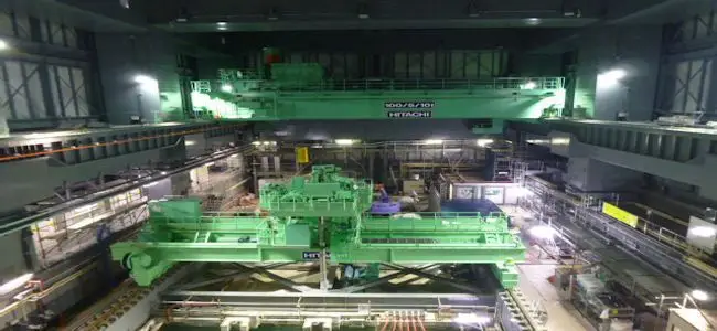 fukushima_grue.jpg