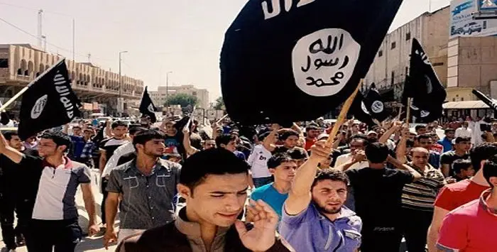 Isis covid 19