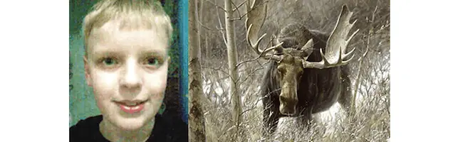 moose.png