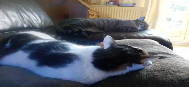 romeo_et_juliette.jpg
