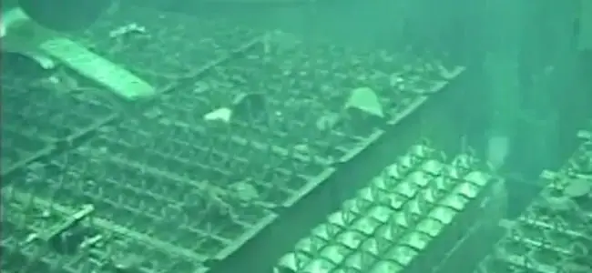 pool4_fukushima.jpg