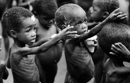 pass vaccinal contre nouriture