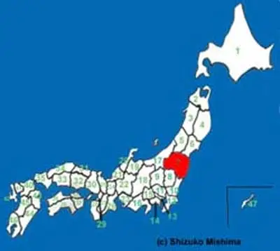 japon-fukushima.jpg