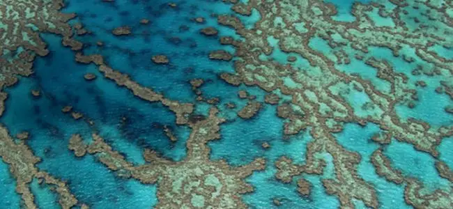 barriere_de_corail_australie.jpg