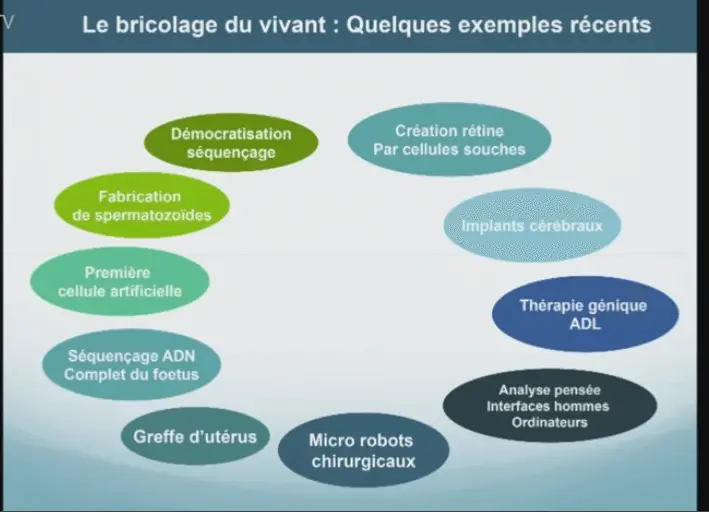 bricolage du vivant
