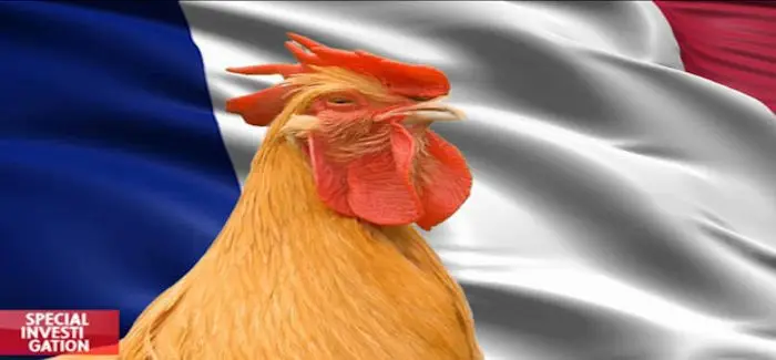 cocori_couac_2.jpg