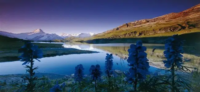 nature.jpg