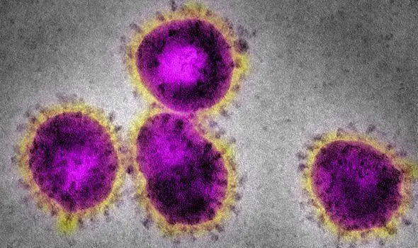 Researchers found the virus may have originated from a lab 2349370