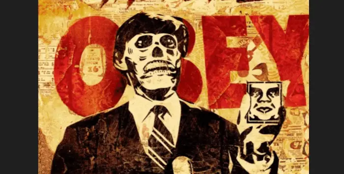they live