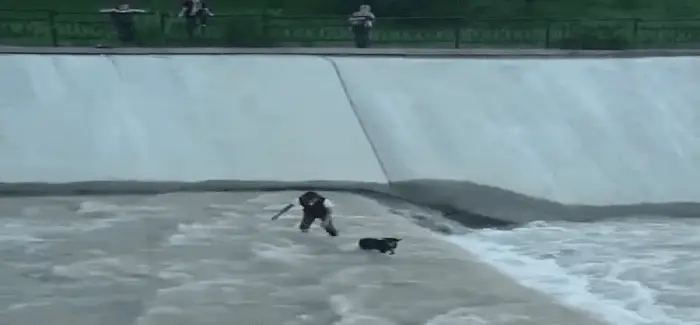 chien pris au piege canal 16 06 2016