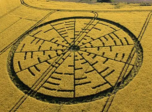 500x_cropcircle.jpg