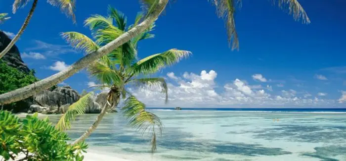evasion_fiscale_21_02_2014.jpg