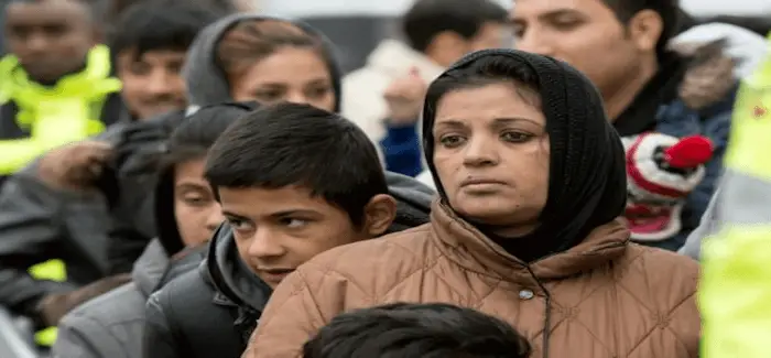 migrants_allemagne_08_12_2015.png