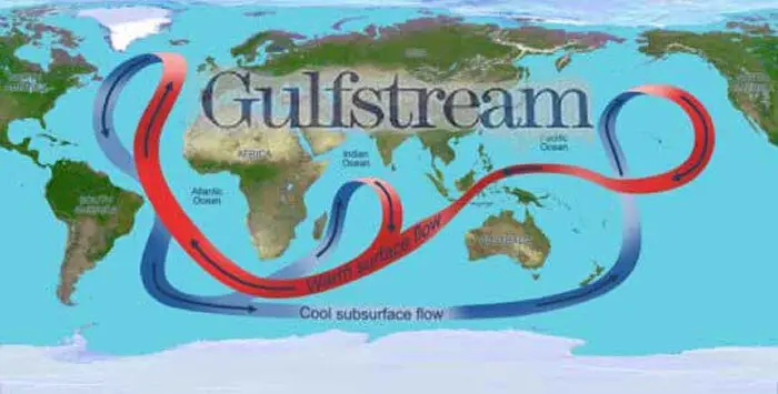 Gulf stream